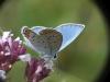 276044 – Photo : Florian ALONSO – France (69)